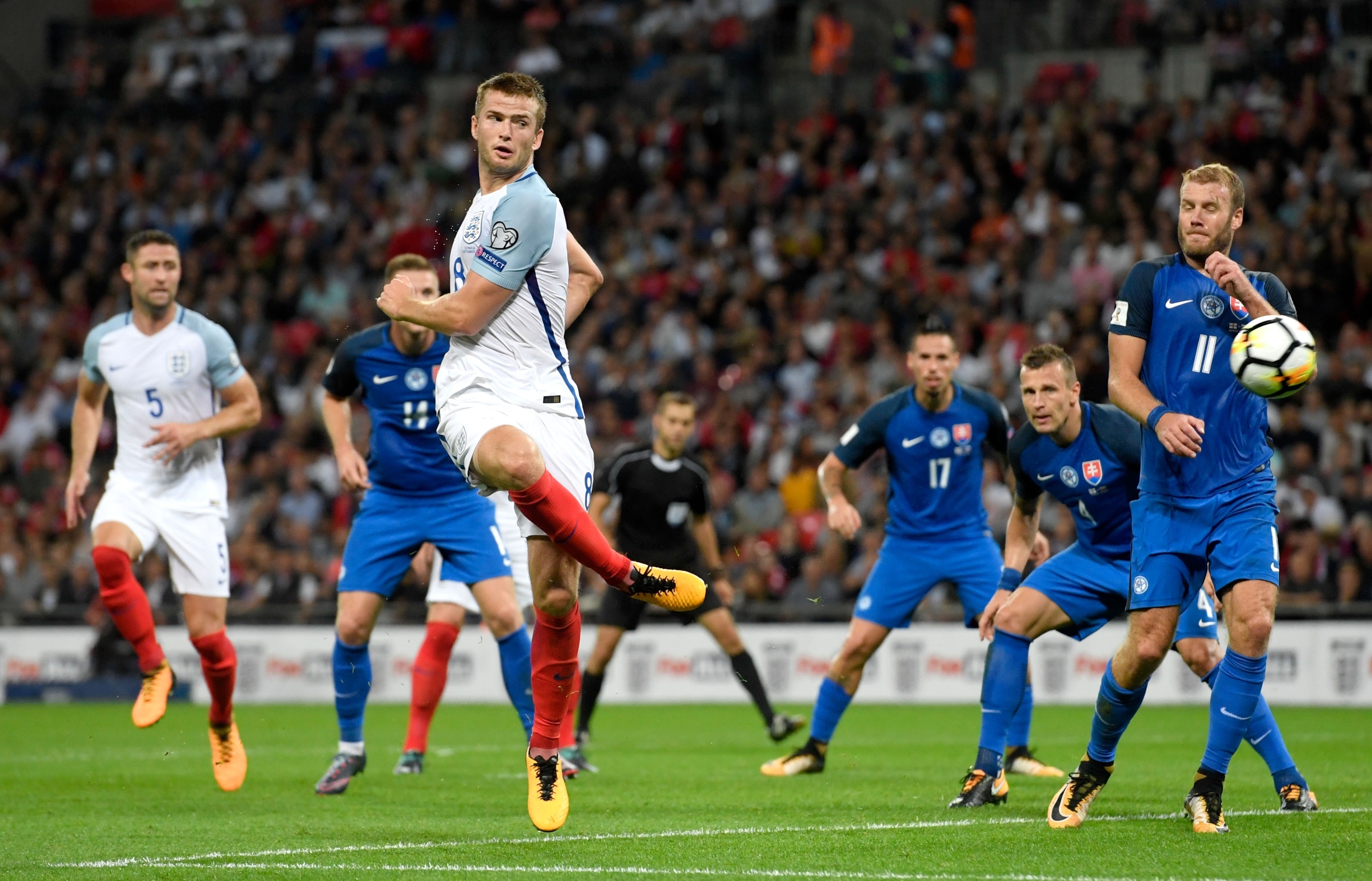 来平衡布鲁 来平衡布鲁